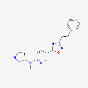 molecular formula C21H25N5O B6104701 N-methyl-N-(1-methyl-3-pyrrolidinyl)-5-[3-(2-phenylethyl)-1,2,4-oxadiazol-5-yl]-2-pyridinamine 