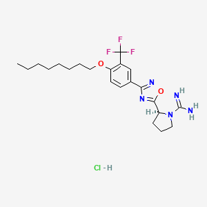 molecular formula C22H31ClF3N5O2 B610875 SLM6031434 hydrochloride 