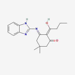 molecular formula C19H23N3O2 B6108908 (2E,3E)-3-(1H-benzimidazol-2-ylimino)-2-(1-hydroxybutylidene)-5,5-dimethylcyclohexan-1-one 