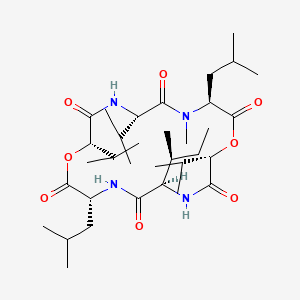 molecular formula C34H60N4O8 B610951 Sporidesmolide II CAS No. 3200-75-7
