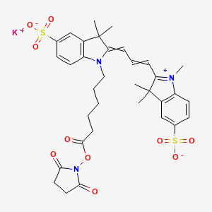 molecular formula C34H38KN3O10S2 B611059 Sulfo-Cyanine3 NHS ester CAS No. 1424433-17-9