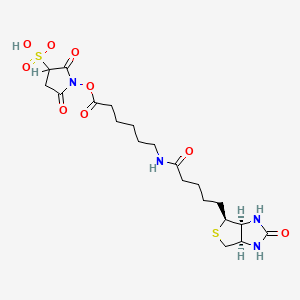 molecular formula C20H30N4O9S2 B611075 Sodium 2,5-dioxo-1-((6-(5-((3aS,4S,6aR)-2-oxohexahydro-1H-thieno[3,4-d]imidazol-4-yl)pentanamido)hexanoyl)oxy)pyrrolidine-3-sulfonate CAS No. 127062-22-0