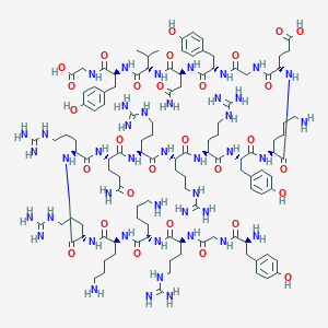 molecular formula C115H185N43O29 B611175 TAT-GluA2 3Y 