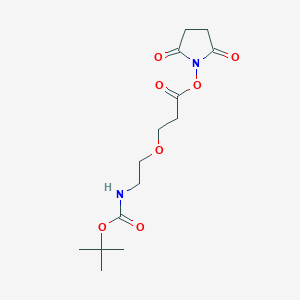 molecular formula C14H22N2O7 B611204 t-Boc-N-amido-PEG1-NHS ester CAS No. 1260092-55-4