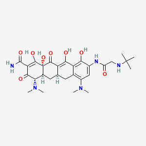 molecular formula C29H39N5O8 B611373 Tigecycline 