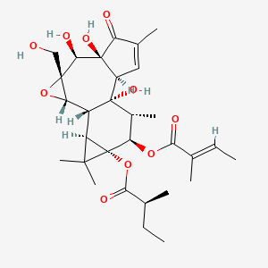 molecular formula C30H42O10 B611374 Tigilanol tiglate CAS No. 943001-56-7