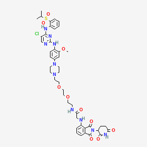 molecular formula C45H53ClN10O10S B611388 N-(2-(2-(2-(4-(4-((5-Chloro-4-((2-(isopropylsulfonyl)phenyl)amino)pyrimidin-2-yl)amino)-3-methoxyphenyl)piperazin-1-yl)ethoxy)ethoxy)ethyl)-2-((2-(2,6-dioxopiperidin-3-yl)-1,3-dioxoisoindolin-4-yl)amino)acetamide CAS No. 2229037-04-9