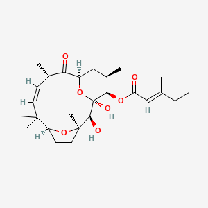 molecular formula C26H40O7 B611419 Tonantzitlolone CAS No. 845811-30-5