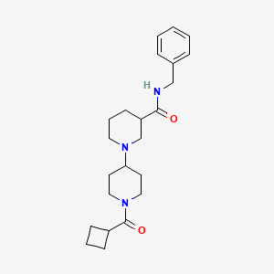 molecular formula C23H33N3O2 B6117102 N-benzyl-1'-(cyclobutylcarbonyl)-1,4'-bipiperidine-3-carboxamide 