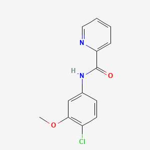 molecular formula C13H11ClN2O2 B611733 N-(4-chloro-3-methoxyphenyl)pyridine-2-carboxamide CAS No. 1161205-04-4