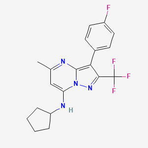 molecular formula C19H18F4N4 B6117645 N-cyclopentyl-3-(4-fluorophenyl)-5-methyl-2-(trifluoromethyl)pyrazolo[1,5-a]pyrimidin-7-amine 