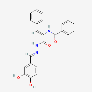 molecular formula C23H19N3O4 B6120405 N-[(Z)-3-[(2E)-2-[(3,4-dihydroxyphenyl)methylidene]hydrazinyl]-3-oxo-1-phenylprop-1-en-2-yl]benzamide 