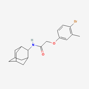 molecular formula C19H24BrNO2 B6120587 N-(2-adamantyl)-2-(4-bromo-3-methylphenoxy)acetamide 