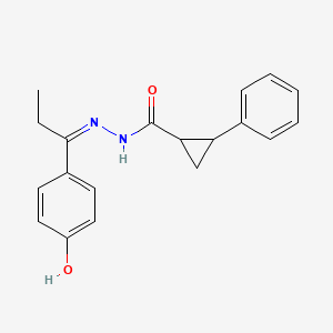 molecular formula C19H20N2O2 B6123662 N-[(Z)-1-(4-hydroxyphenyl)propylideneamino]-2-phenylcyclopropane-1-carboxamide 