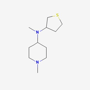 molecular formula C11H22N2S B6128339 N,1-dimethyl-N-(thiolan-3-yl)piperidin-4-amine 