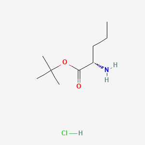 molecular formula C9H20ClNO2 B613016 L-Norvaline t-butyl ester hydrochloride CAS No. 119483-47-5
