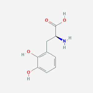 (S)-2-Amino-3-(2,3-dihydroxyphenyl)propanoic acid