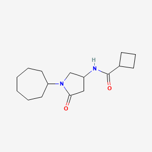 molecular formula C16H26N2O2 B6134173 N-(1-cycloheptyl-5-oxopyrrolidin-3-yl)cyclobutanecarboxamide 