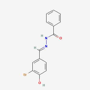 molecular formula C14H11BrN2O2 B6135064 N'-[(E)-(3-bromo-4-hydroxyphenyl)methylidene]benzohydrazide 