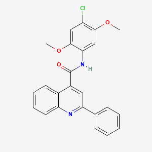 molecular formula C24H19ClN2O3 B6136292 N-(4-chloro-2,5-dimethoxyphenyl)-2-phenylquinoline-4-carboxamide 