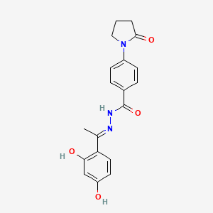 molecular formula C19H19N3O4 B6140404 N-[(E)-1-(2,4-dihydroxyphenyl)ethylideneamino]-4-(2-oxopyrrolidin-1-yl)benzamide 