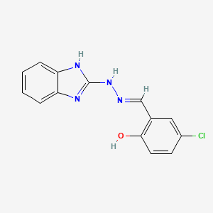 molecular formula C14H11ClN4O B6140967 2-[(E)-[2-(1H-1,3-Benzodiazol-2-YL)hydrazin-1-ylidene]methyl]-4-chlorophenol 