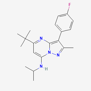 molecular formula C20H25FN4 B6140971 5-tert-butyl-3-(4-fluorophenyl)-2-methyl-N-(propan-2-yl)pyrazolo[1,5-a]pyrimidin-7-amine 