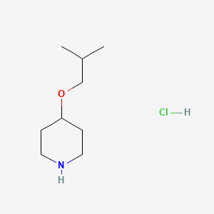 4-(2-methylpropoxy)piperidine hydrochloride