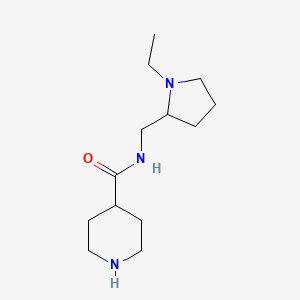 molecular formula C13H25N3O B6142601 N-[(1-ethylpyrrolidin-2-yl)methyl]piperidine-4-carboxamide CAS No. 244789-37-5