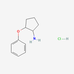 molecular formula C11H16ClNO B6143356 2-Phenoxycyclopentan-1-amine hydrochloride CAS No. 91245-96-4