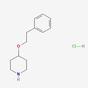 molecular formula C13H20ClNO B6144217 4-(2-phenylethoxy)piperidine hydrochloride CAS No. 1221725-39-8