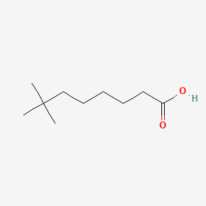 molecular formula C10H20O2 B6159452 7,7-Dimethyloctanoic acid CAS No. 130776-67-9
