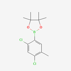 molecular formula C13H17BCl2O2 B6161960 2,4-Dichloro-5-methylphenylboronic acid pinacol ester CAS No. 2121512-39-6