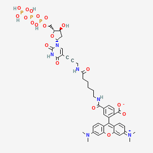 Tetramethylrhodamine-dUT