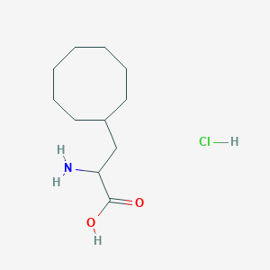 molecular formula C11H22ClNO2 B6295033 2-Amino-3-cyclooctyl-propanoic acid;hydrochloride CAS No. 190905-78-3