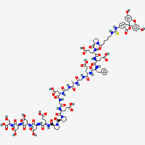 molecular formula C104H128N20O44S B6297812 FITC-|AAhx-HHV-2 Envelope Glycoprotein G (561-578) CAS No. 2022956-64-3