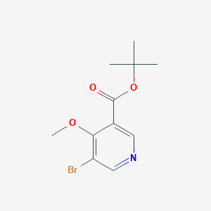 molecular formula C11H14BrNO3 B6298742 Tert-butyl 5-bromo-4-methoxynicotinate CAS No. 2225879-35-4