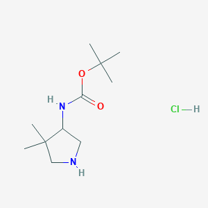 molecular formula C11H23ClN2O2 B6301044 (4,4-Dimethyl-pyrrolidin-3-yl)-carbamic acid tert-butyl ester hydrochloride CAS No. 2097068-47-6