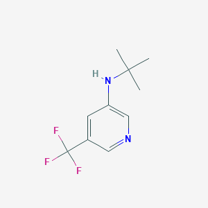 molecular formula C10H13F3N2 B6301150 N-tert-butyl-5-(trifluoromethyl)pyridin-3-amine CAS No. 2173992-34-0