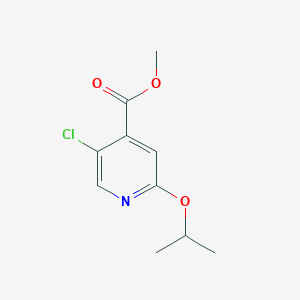 B6301240 Methyl 5-chloro-2-(propan-2-yloxy)pyridine-4-carboxylate CAS No. 2121515-27-1
