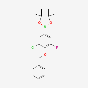 molecular formula C19H21BClFO3 B6303862 4-Benzyloxy-3-chloro-5-fluorobenzeneboronic acid pinacol ester CAS No. 2121515-13-5