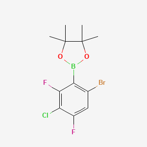 6-Bromo-3-chloro-2,4-difluorophenylboronic acid pinacol ester