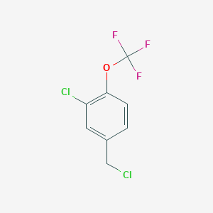 molecular formula C8H5Cl2F3O B6306880 2-Chloro-4-(chloromethyl)-1-(trifluoromethoxy)benzene CAS No. 75462-57-6