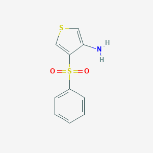 molecular formula C10H9NO2S2 B063135 4-(Phenylsulfonyl)thiophen-3-amine CAS No. 175201-60-2