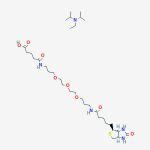 Biotinyl-NH-PEG3-C3-amido-C3-COOH (DIPEA)