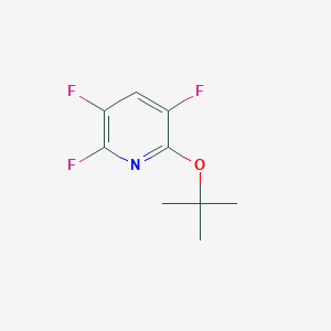 molecular formula C9H10F3NO B6317776 6-tert-Butoxy-2,3,5-trifluoropyridine, 98% CAS No. 1700407-31-3