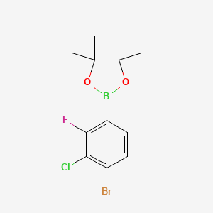 molecular formula C12H14BBrClFO2 B6318147 4-Bromo-3-chloro-2-fluorophenylboronic acid pinacol ester CAS No. 2246613-77-2