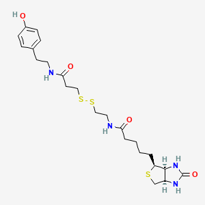 B6319221 Biotin-SS-Tyramide CAS No. 678975-20-7