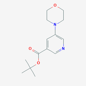 5-Morpholin-4-yl-nicotinic acid tert-butyl ester