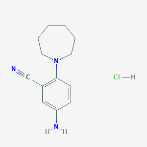molecular formula C13H18ClN3 B6323866 5-Amino-2-(azepan-1-yl)benzonitrile hydrochloride CAS No. 1349716-03-5